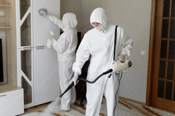 Best Asbestos and Lead Testing During Mold Inspection  in Mason, TX